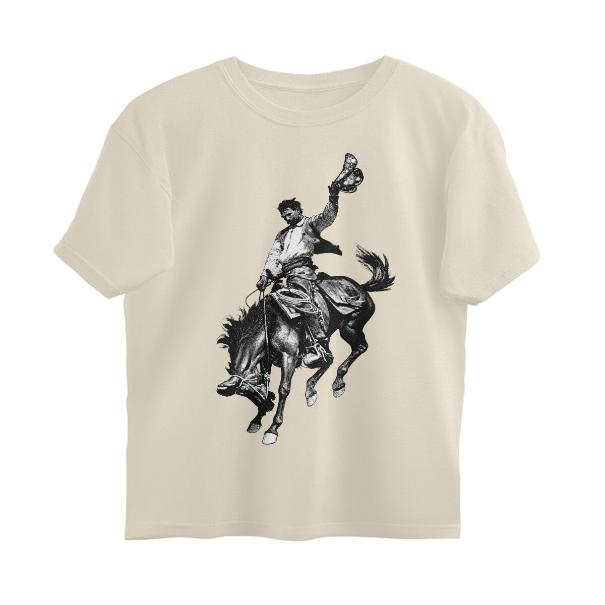 CowBoy 2